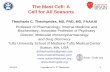 The Mast Cell: A Cell for All Seasons€¦ · Allergen/IgE C3a, C5a IL-1, IL-33 Endothelin LPS Neuropeptides Thrombin Histamine Chymase Tryptase Leukotrienes PAF Prostaglandins Chemokines