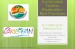 Sustainable Tourism Destination Best Practices · Guiding principles, development goals and policy objectives . Sustainable Tourism Capacity Building and Recognition ... the Caribbean