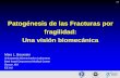 Patogénesis de las Fracturas por fragilidad: Una visión ... · Naturaleza jerárquica de la estructura ósea Seeman & Delmas N Engl J Med 2006; 354:2250-61 Macroestructura Microestructura