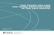 THE TRUMP ERA AND THE TRADE ARCHITECTURE IN …€¦ · An Early Analysis 18 ... a proposed free trade agreement involving ASEAN, China, Japan, Korea, India, ... renegotiation of