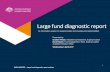 Large fund diagnostic report - Australian Taxation Office · Large fund diagnostic report Graham Whyte, ... −Government contributions from May 2017 ... • Open and Lost MCS accounts