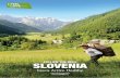 FOLLOW THE BEES SLOVENIA - Turistične strani · FOLLOW THE BEES. With love of nature ... can taste honey, other hive products and related dishes with honey, traditional honey drinks