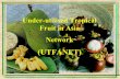 APARIS ICT Workshop - UTFANET - Home | Food and ... · Philippines Modified Cleft Grafting Seed Budding ... Seasonal availability of fruits (3 ... APARIS ICT Workshop - UTFANET Author: