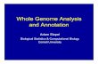 Whole Genome Analysis and Annotation - Cornell … · 2006-10-30 · Whole Genome Analysis and Annotation ... human mouse rat chimp chicken fugu zfish dog opossum cow ... Merely comparing