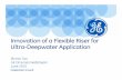 Innovation of a Flexible Riser for Ultra-Deepwater Application · Innovation of a Flexible Riser for Ultra-Deepwater Application ... Innovation of a Flexible Riser for Ultra-Deepwater