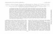 Adeno-Associated Virus in Adenovirus Type 3 Conjunctivitisiai.asm.org/content/11/6/1362.full.pdf · Adeno-Associated Virus in Adenovirus Type3 Conjunctivitis 0. W. ... whereasnine