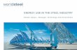 ENERGY USE IN THE STEEL INDUSTRY - International … · Global Steel Industry Overview Energy use in the steel industry - aims, goals & status - methodology & web based tool - analysis