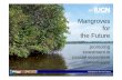 Mangroves the Future - Recovery Platform · Asian Development Bank Earthquake and Tsunami Emergency ... BPPT, Badan Pengkajian dan Penerapan Teknologi BRR, Aceh and Nias Rehabilitation
