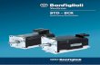 BTD - BCR - bonfiglioli.it · Bonfiglioli Vectron delivers products and services for completely integrated inverter solutions. ... catalogue. The designation is made up of two main