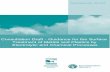 Consultation Draft - Guidance for the Surface Treatment … of Metals and Plastics by Electrolytic and Chemical Processes Surface Treatment Sector Guidance Note IPPC S2.07 | Issue