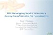 IRRI Genotyping Service Laboratory Galaxy: bioinformatics ... · IRRI Genotyping Service Laboratory Galaxy: bioinformatics for rice scientists Ramil P. Mauleon Scientist – Bioinformatics
