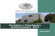 Premisas y Prioridades Institucionales 2016portales.te.gob.mx/dgpei/public/dgpei/pdf/d3ccb932f7f.pdf · Premisas y Prioridades Institucionales 2016 . En 2013 se determinó eje rector
