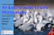 Download an Expert Guide to Bird Photography - Amazon S3 · An Expert Guide to Bird Photography By David Tipling A professional guide to photographing garden, waders, wildfowl and