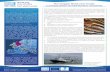 North Sea case studies The Dogger Bank case study: VEC T … · VEC T S Fact sheet series Contact ... » Statistical analysis of fish and ... The Dogger Bank provides a test case