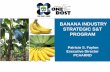 BANANA INDUSTRY STRATEGIC S&T PROGRAMbanana-networks.org/Bapnet/files/2017/09/4-FAYLON-Banana-ISP-for... · LAKATAN •Most popular dessert banana in the Philippines ... BANANA INDUSTRY