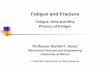 Fatigue, How and Why Physics of Fatigue Professor Darrell ... · Physics of Fatigue Professor Darrell F. Socie ... BS L65 Aluminum Loading: 63 ksi, ... 7075-T6 Cracking at Inclusion