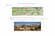 tcssgnn.files.wordpress.com · Web viewAbove image shows different forms of renewable resources, discuss few advantages and disadvantages of these with examples. b. Author Erum Fatima