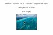 Offshore Companies, IBC’s, Local Belize Companies … Licensed IBCs! • Formation or management of international business companies or other offshore entities • Formation or management