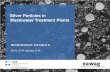 Silver Particles in Wastewater Treatment Plants - BfR · Silver Particles in Wastewater Treatment Plants ... Biology Biology Biology ... nCantonal Office for Waste, Water, Energy
