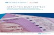 AFTER THE DUST SETTLES - oliverwyman.com · There have been notable performances from the likes of IndusInd Bank, ... Between 28th October to 23rd December 2016, ... AFTER THE DUST