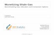 Monetizing Shale Gas - ADI Analyticsadi-analytics.com/wp-content/uploads/2013/05/Monetizing_Shale_Gas... · ADI ANALYTICS LLC Houston New Delhi +1 (281) 506-8234 info@adi-analytics.com