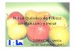 Raleo Químico de Frutos en Manzano y Peral - inia.org.uy · peso final del fruto de manzano Royal Gala - 2003-2004 g 10/10 14/10 ... Ac Pescado 2% + Polisulfuro de Ca 2% 2. ... (conteo