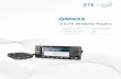 ZiLTE Mobile Radio - ztetrunking.com FDD-LTE; TD-LTE; WCDMA/GSM ( Data only ); DMO Frequency LTE FDD 450 M / 600 M / 800 M TDD 340 M / 450 M / 600 M TDD 1.4 G ( 1447 ~ 1467 MHz )