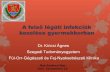A felső légúti infekciók kezelése gyermekkorbannoe-egeszsegkozpont.hu/wp-content/uploads/2015/09/Fels---l--g--ti... · Akut vírusos (nem-bakteriális) rhinosinusitis ... Otitis