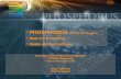 · PHOSPHORUS (FP6 IP IST Project) - TERENA · · PHOSPHORUS (FP6 IP IST Project) ... – Adaptation of existing Network Resource Provisioning Systems (NRPS) to support the framework
