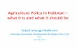 Agriculture Policy in Pakistan what it is and what it ... · Agriculture Policy in Pakistan – what it is and what it should be ... Low Intensity Punjab Cotton/ Wheat Sindh Rice