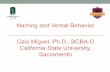 Naming and Verbal Behavior Caio Miguel, Ph.D., BCBA-D ...conferinta-aba.ro/wp-content/uploads/2015/04/MiguelCaio-Naming... · Naming and Verbal Behavior Caio Miguel, Ph.D., BCBA-D
