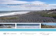 Greening Shorelines to Enhance Resilience · 2016-05-17 · Greening Shorelines to Enhance Resilience: An Evaluation of Approaches for Adaptation to Sea Level Rise June 2014 ... The