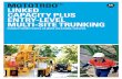 MOTOTRBO LINKED CAPACITY PLUS ENTRY-LEVEL … · PAGE 2 MOTOTRBO ™ LINKED CAPACITY PLUS GET ALL THE BASICS TO LINK YOUR WORKFORCE TOGETHER BETTER Your teams are on the move –