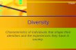 Diversity - Mid-State Technical Collegeinstructor.mstc.edu/instructor/CTomski/chap005-Tomski-Diversity.pdf · Why Diversity? Ensuring diversity within an organization offers supervisors: