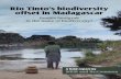 Rio Tinto’s biodiversity offset in Madagascarwrm.org.uy/.../04/RioTintoBiodivOffsetMadagascar_report_EN_web.pdf · Rio Tinto’s biodiversity offset in Madagascar ... A field report