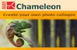 AKVIS .AKVIS Chameleon 2 AKVIS Chameleon AKVIS Chameleon is an efficient tool for automatic adjustment