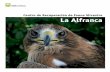 Centro de Recuperación de Fauna Silvestre La Alfranca · Parque de vuelo de aves esteparias y aguiluchos 10 ... (para rapaces pequeñas y nocturnas). ... cirugía, fluidoterapia,