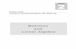 Matrices and Linear Algebra - Uniwersytet Ekonomiczny w ...ue.poznan.pl/data/upload/articles/20140213/4e8165990155700259/... · Matrices and Linear Algebra ... Eigenvalue Problems
