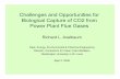 Challenges and Opportunities for Biological Capture of … · Challenges and Opportunities for Biological Capture of CO2 from ... Almeda CA Pilot facility in FL ... CA Exploring extracting