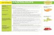 Pick a better snack Lesson Plan SEPTEMBER ... - Iowa Grant Program... · Pick a better snack™ Lesson Plan. ... The produce (or fresh fruit and vegetable) section is usually the