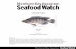 Seafood Watch report for farmed tilapia, China · Farmed Tilapia (Oreochromis spp.) ... Final Seafood Recommendation . Tilapia from China received one red ranking—chemical use ...
