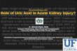Role of Uric Acid Lowering Therapies to prevent Acute ... · for the Prevention of Acute Renal Failure in the ICU: Role of BNP and Uric acid Lowering therapies to prevent ARF following