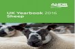 2016 UK Yearbook Sheep - AHDB Beef & Lambbeefandlamb.ahdb.org.uk/.../UK-Yearbook-2016-Sheep... · UK Yearbook 2016 Sheep Contents Page 1. Introduction ..... 1 2. Marketing Chain