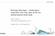 Energy Storage – Hydrogen injected into the Gas Grid via ...members.igu.org/old/IGU Events/igrc/igrc-2014/presentations/to5-3... · Energy Storage – Hydrogen injected into the