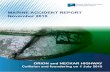 MARINE ACCIDENT REPORT November 2015 - dmaib.com report - ORION and NECKAR... · MARINE ACCIDENT REPORT November 2015 ... 2.4 Marine casualty or incident information ... As the ship