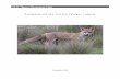 NSW Threat Abatement Plan: Predation by the red fox ... · NSW Threat Abatement Plan – Predation by the red fox (Vulpes vulpes) 2 NSW Fox Threat Abatement Plan 2010 Table of Contents
