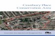 Cranbury Place Conservation Area - southampton.gov.uk · Strengths, Weaknesses ... Cranbury Place Conservation Area Appraisal and Management ... houses with basements would suggest