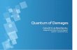 Quantum of Damages - EJTN · The harmonization of substantive laws relating to the quantum of damages ... Directives 72/166/EEC of 24 April 1972, 84/5/EEC of 30 December 1983, 90/232/EEC
