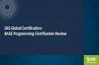 SAS Global Certification: BASE Programming Certification ... · SAS Certification Credentials SAS offers certification credentials that validate candidate’s knowledge within several