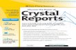 Discover the Power of - pryormediacdn.azureedge.net · Crystal Reports in just one day ... guide to formatting, ... • Troubleshooting your reports — how to fix the most common